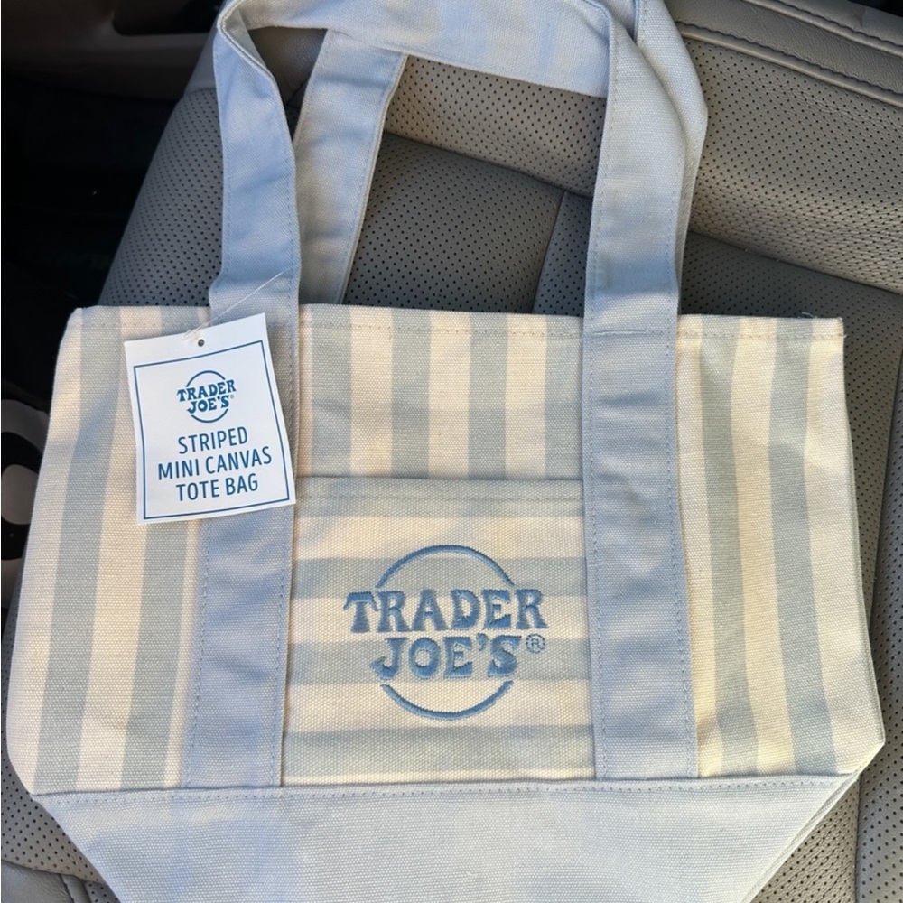 Trader Joe's Striped Mini Canvas Tote Bag in Light Blue and White